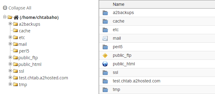 cPanel's file manager.