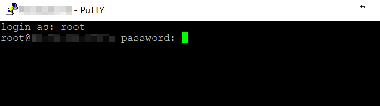 An SSH password prompt.