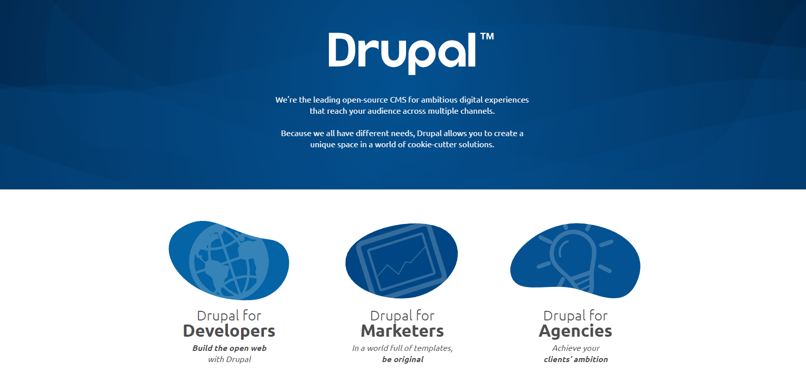 The Drupal website.