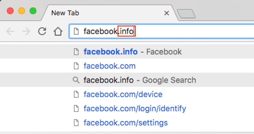 A search for Facebook using a .info TLD.