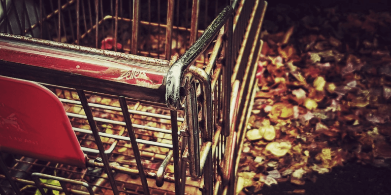 A shopping cart on leaves.