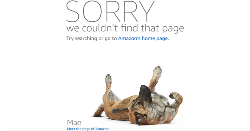 Amazon's error page.