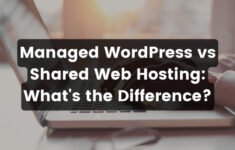 Managed WordPress vs Shared Web Hosting: What’s the Difference? logo