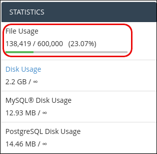 cPanel - Statistics - File Usage