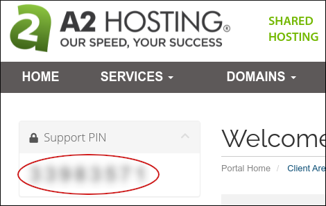 Customer Portal - Support PIN