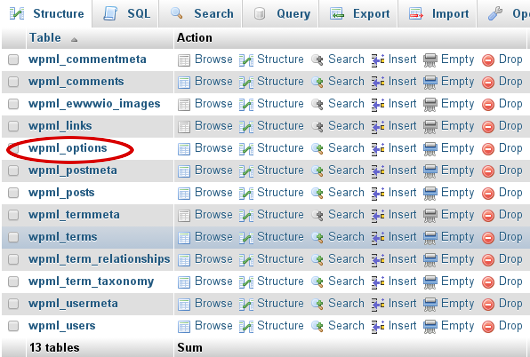 phpMyAdmin - WordPress options table