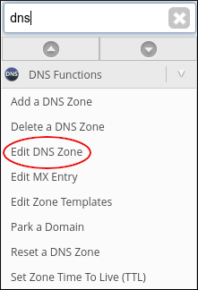 WebHost Manager - Edit DNS Zone