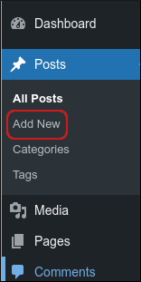 WordPress - Posts - Add New menu